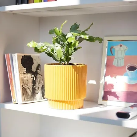 Artsy Design Loft - Hip District Uptown